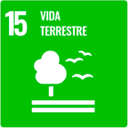 Vida Terrestre